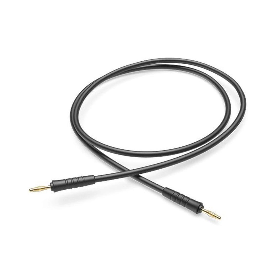 Récepteur Universel Roger Neckloop - Phonak